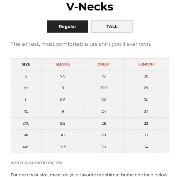 FRESH CLEAN TEES MEN'S SHORT SLEEVE V NECK TEE SHIRT COLOR: WEDGEWOOD - Picture 4 of 5